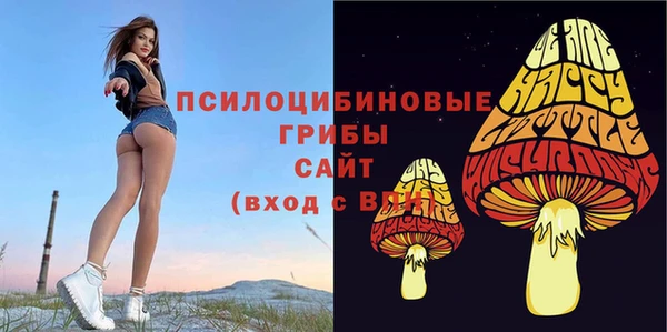 крисы Алексин