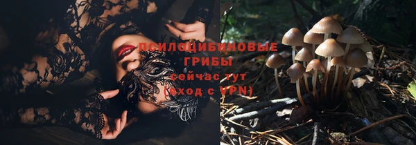 крисы Алексин