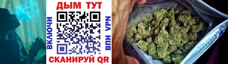 Конопля тримм  blacksprut зеркало  Суджа 